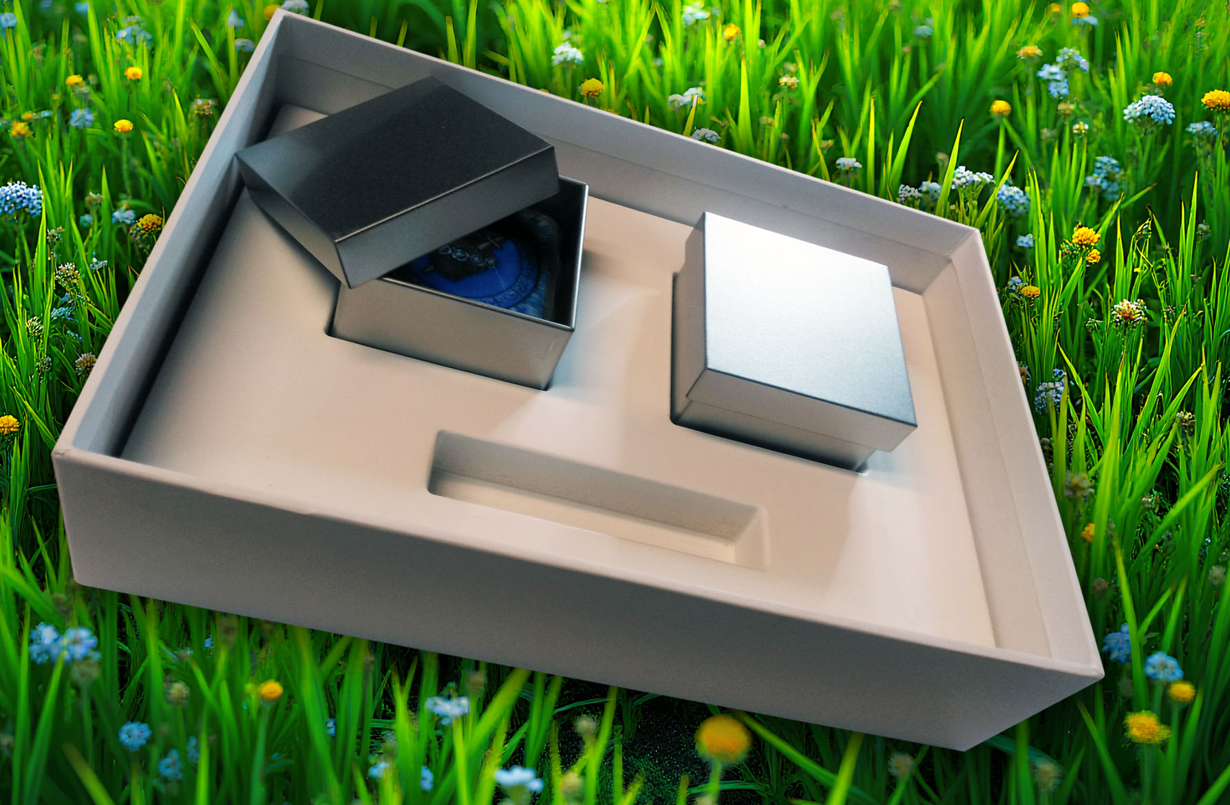 Box insert